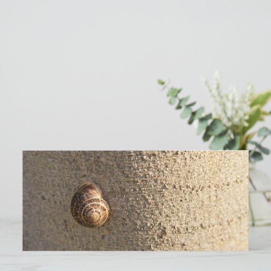 Snail (Standing Front)