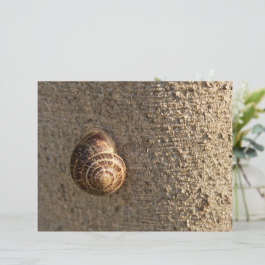 Snail (Standing Front)