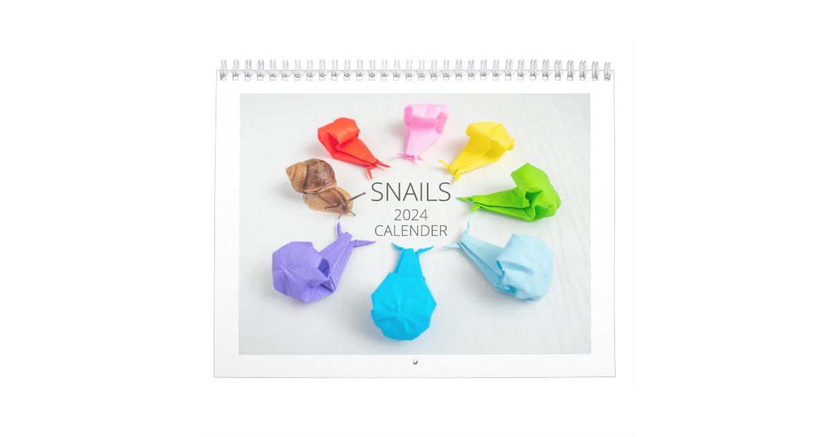 Snail 2024 Calendar Zazzle