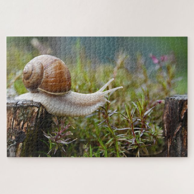Snail Among The Rosemary Jigsaw Puzzle (Horizontal)