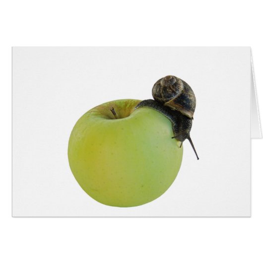 Snail and apple cards (Front Horizontal)