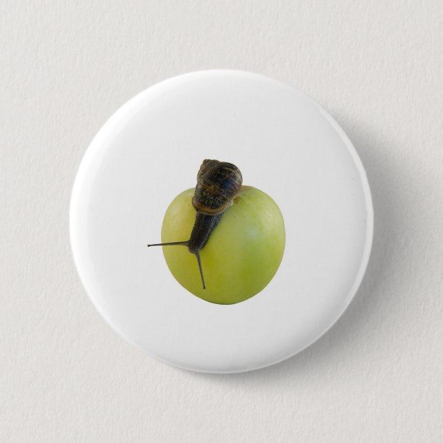 Snail and apple pinback button (Front)