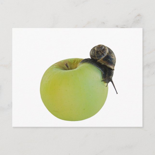 Snail and apple postcard (Front)