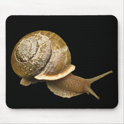 Snail and Shell Mouse Pad