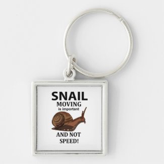 Snail Animal Illustration Quote Typography Snail