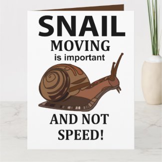 Snail Animal Quote Typography Snail