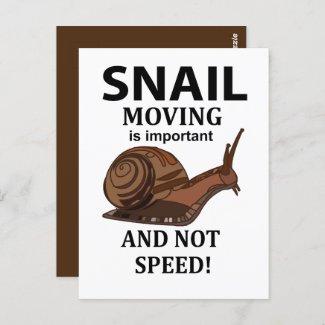 Snail Animal Quote Typography Snail