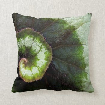 Snail Begonia Leaf Throw Pillow by terrymcclaryart at Zazzle