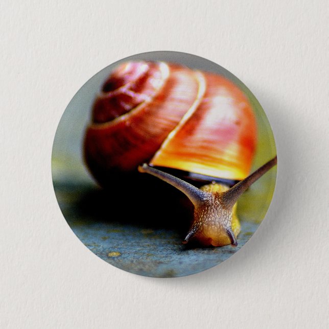 Snail Button (Front)