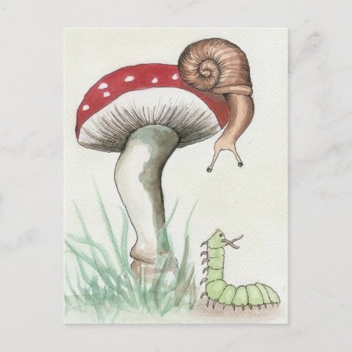 Snail  Caterpillar Postcard