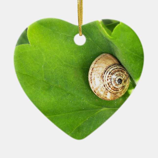 snail ceramic ornament (Front)