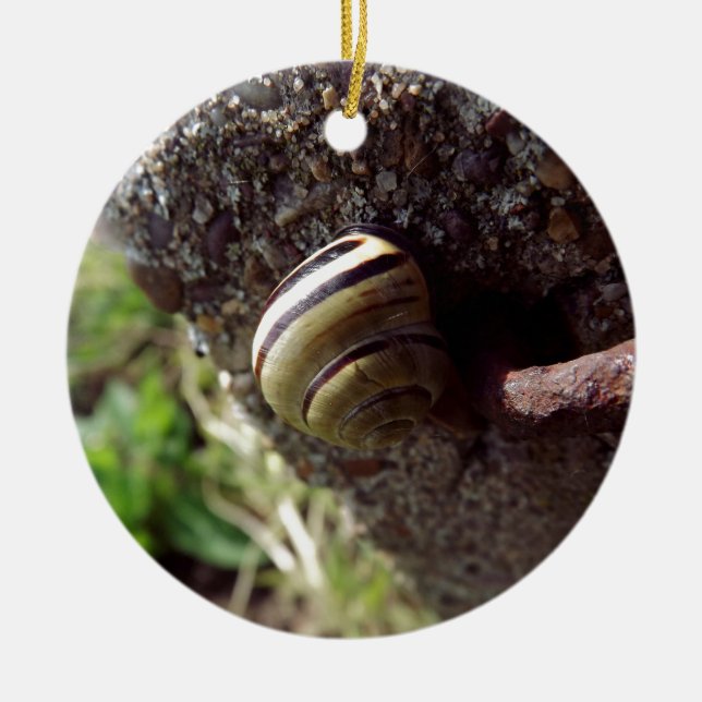 snail ceramic ornament (Front)