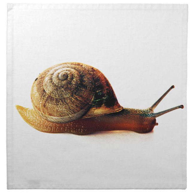 snail cloth napkin (Front)