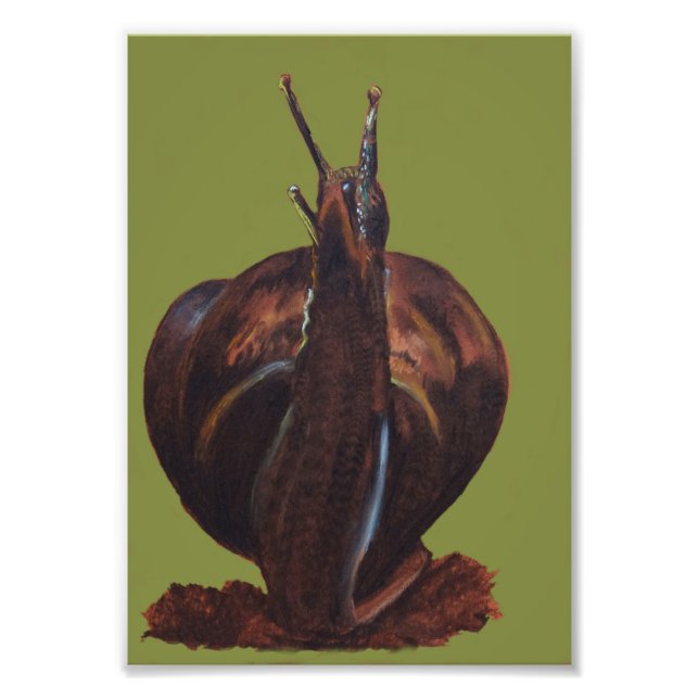 Snail Drawing Kodak Professional Photo Paper Print (Front)
