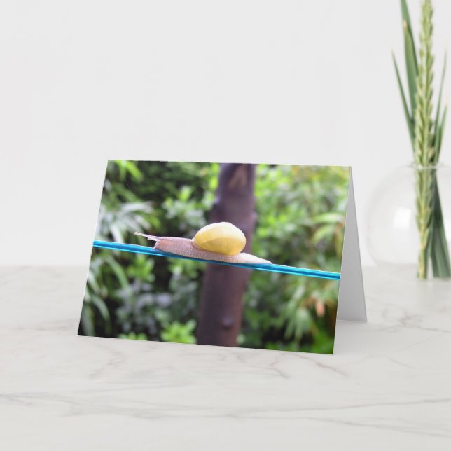 SNAIL EQUILIBRIST card (Front)