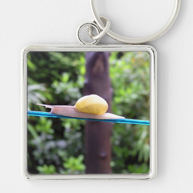 SNAIL EQUILIBRIST Keychain (Front)