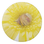 snail eraser (Back)