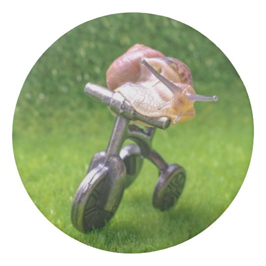 snail eraser (Front)