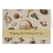 Snail Garden Pet Gastropod Slug Botanical Snails (Front Horizontal)