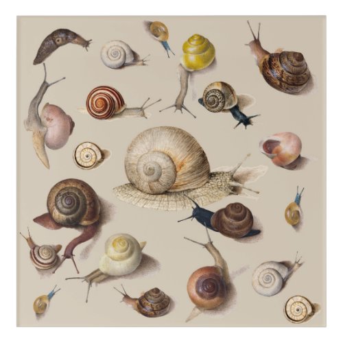 Snail Garden Pet Gastropod Slug Botanical Snails Acrylic Print