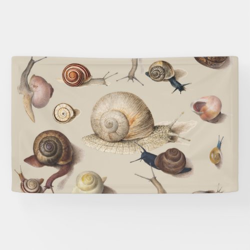 Snail Garden Pet Gastropod Slug Botanical Snails Banner