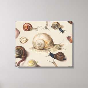 Snail Garden Pet Gastropod Slug Botanical Snails Canvas Print