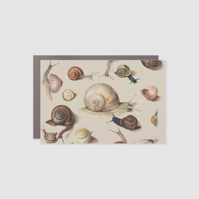 Snail Garden Pet Gastropod Slug Botanical Snails Car Magnet (Front)
