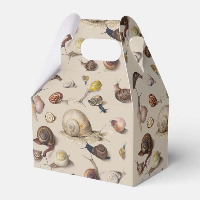 Snail Garden Pet Gastropod Slug Botanical Snails Favor Boxes (Front Side)