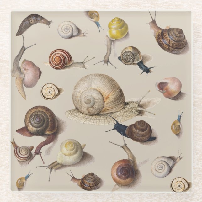 Snail Garden Pet Gastropod Slug Botanical Snails Glass Coaster (Front)