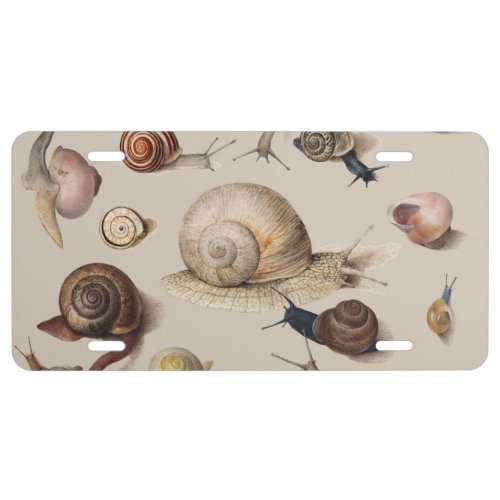 Snail Garden Pet Gastropod Slug Botanical Snails License Plate