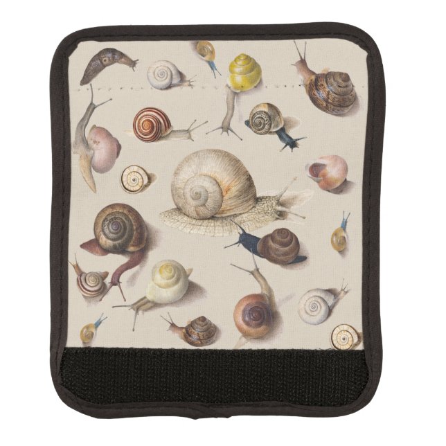 Snail Garden Pet Gastropod Slug Botanical Snails Luggage Handle Wrap (Front)