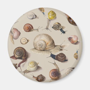 Snail Garden Pet Gastropod Slug Botanical Snails Magnet