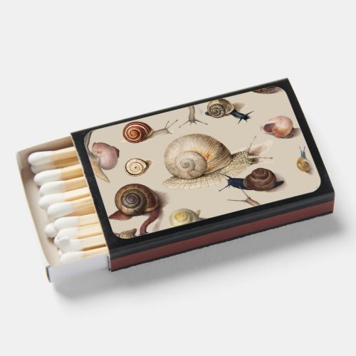 Snail Garden Pet Gastropod Slug Botanical Snails Matchboxes