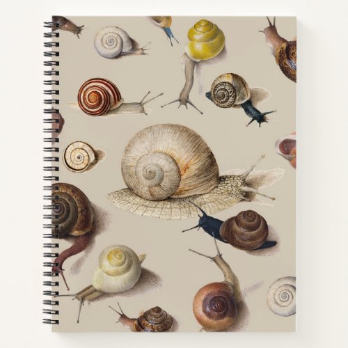 Snail Garden Pet Gastropod Slug Botanical Snails Notebook