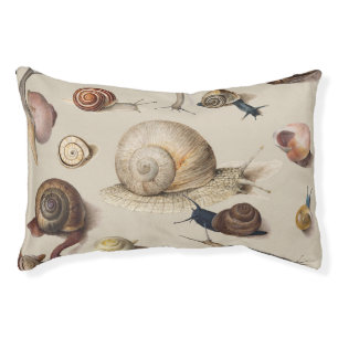 Snail Garden Pet Gastropod Slug Botanical Snails Pet Bed