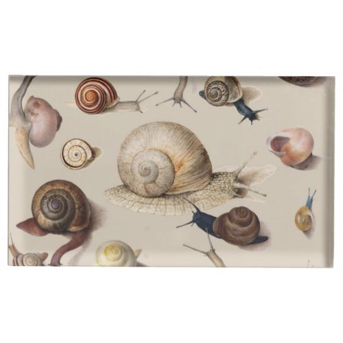 Snail Garden Pet Gastropod Slug Botanical Snails Place Card Holder