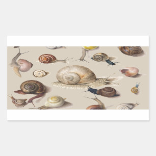Snail Garden Pet Gastropod Slug Botanical Snails Rectangular Sticker