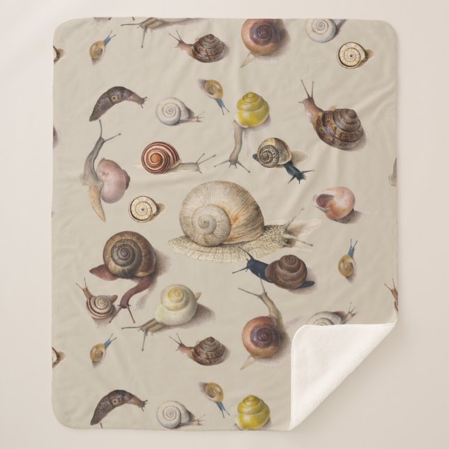 Snail Garden Pet Gastropod Slug Botanical Snails Sherpa Blanket (Front)