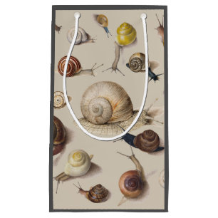 Snail Garden Pet Gastropod Slug Botanical Snails Small Gift Bag