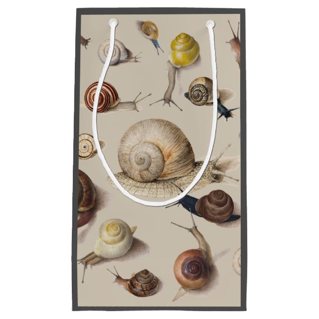 Snail Garden Pet Gastropod Slug Botanical Snails Small Gift Bag (Front)