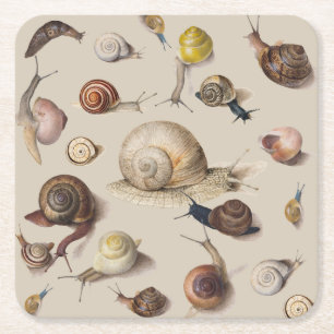 Snail Garden Pet Gastropod Slug Botanical Snails Square Paper Coaster