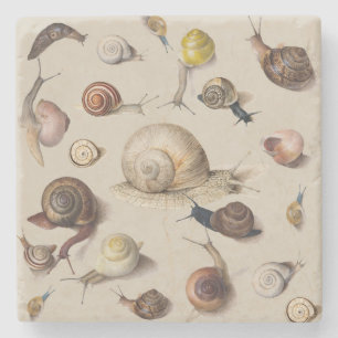 Snail Garden Pet Gastropod Slug Botanical Snails Stone Coaster