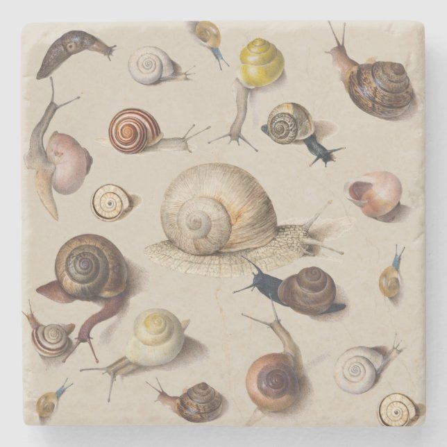 Snail Garden Pet Gastropod Slug Botanical Snails Stone Coaster (Front)