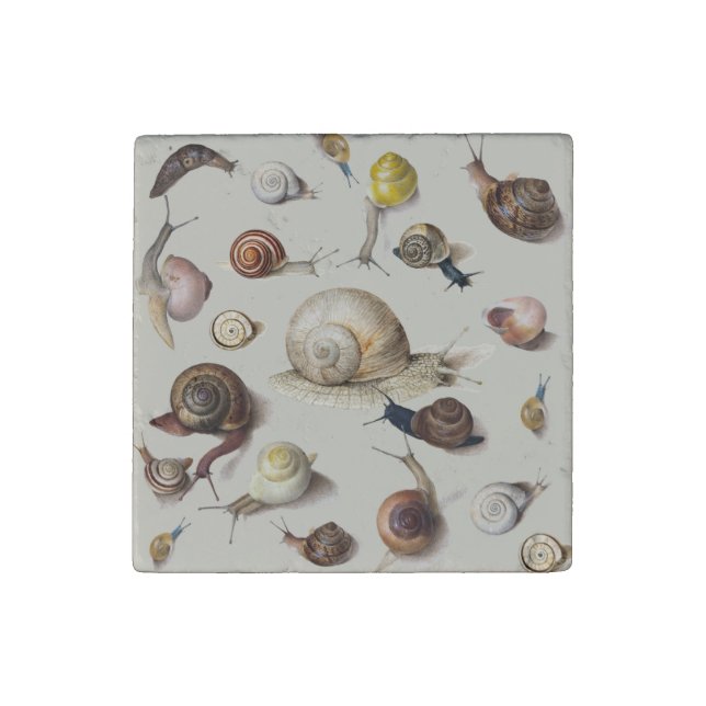 Snail Garden Pet Gastropod Slug Botanical Snails Stone Magnet (Fourth Magnet)