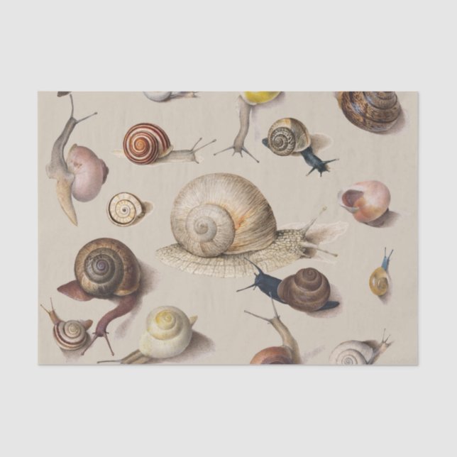 Snail Garden Pet Gastropod Slug Botanical Snails Tissue Paper (Front)