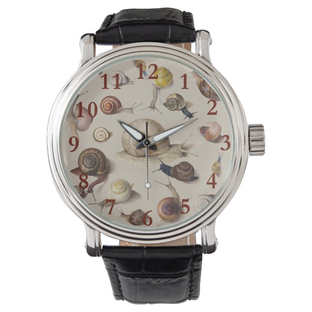 Snail Garden Pet Gastropod Slug Botanical Snails Watch (Front)