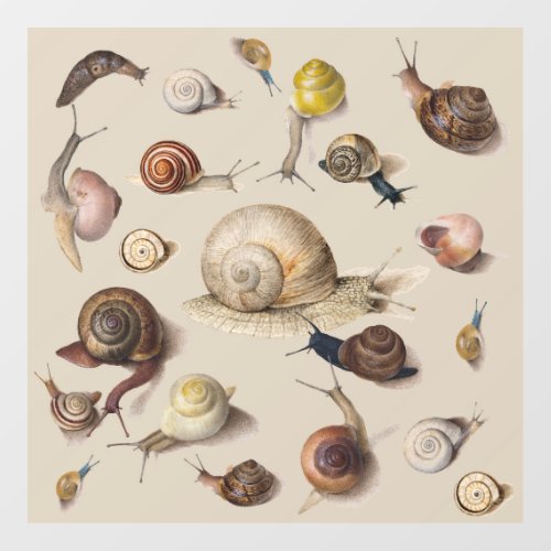 Snail Garden Pet Gastropod Slug Botanical Snails Window Cling