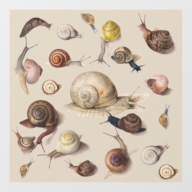 Snail Garden Pet Gastropod Slug Botanical Snails Window Cling (Sheet)