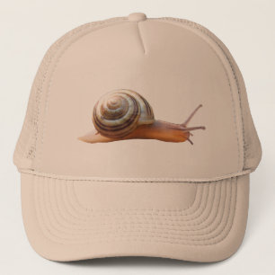 Snail ~ hat