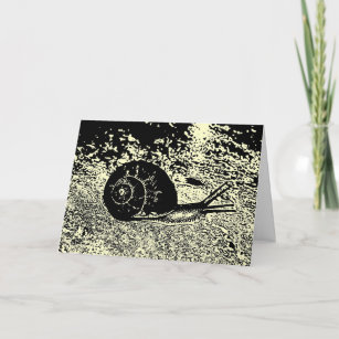 Snail in Black and White Belated Birthday Card